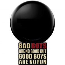 Парфюмерная вода "Bad Boys Are No Good But Good Boys Are No Fun", 100 ml
