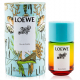 Туалетная вода Loewe "Paula's Ibiza", 50 ml (LUXE)